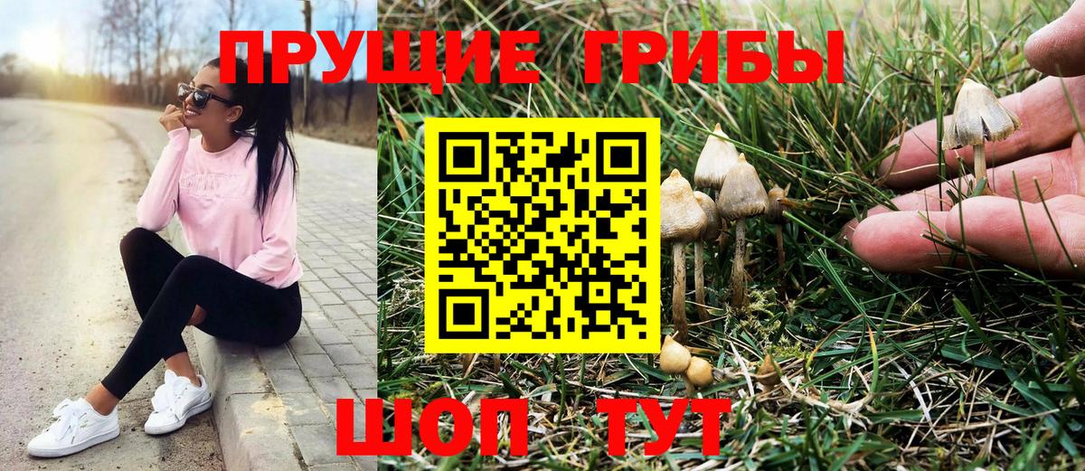 Псилоцибиновые грибы мицелий  Вход с VPN  Кстово 